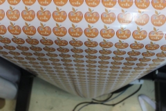 21740085_204368366768205_7953986590890993266_n