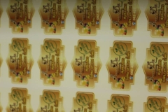 21751413_204368053434903_4483076824636080540_n